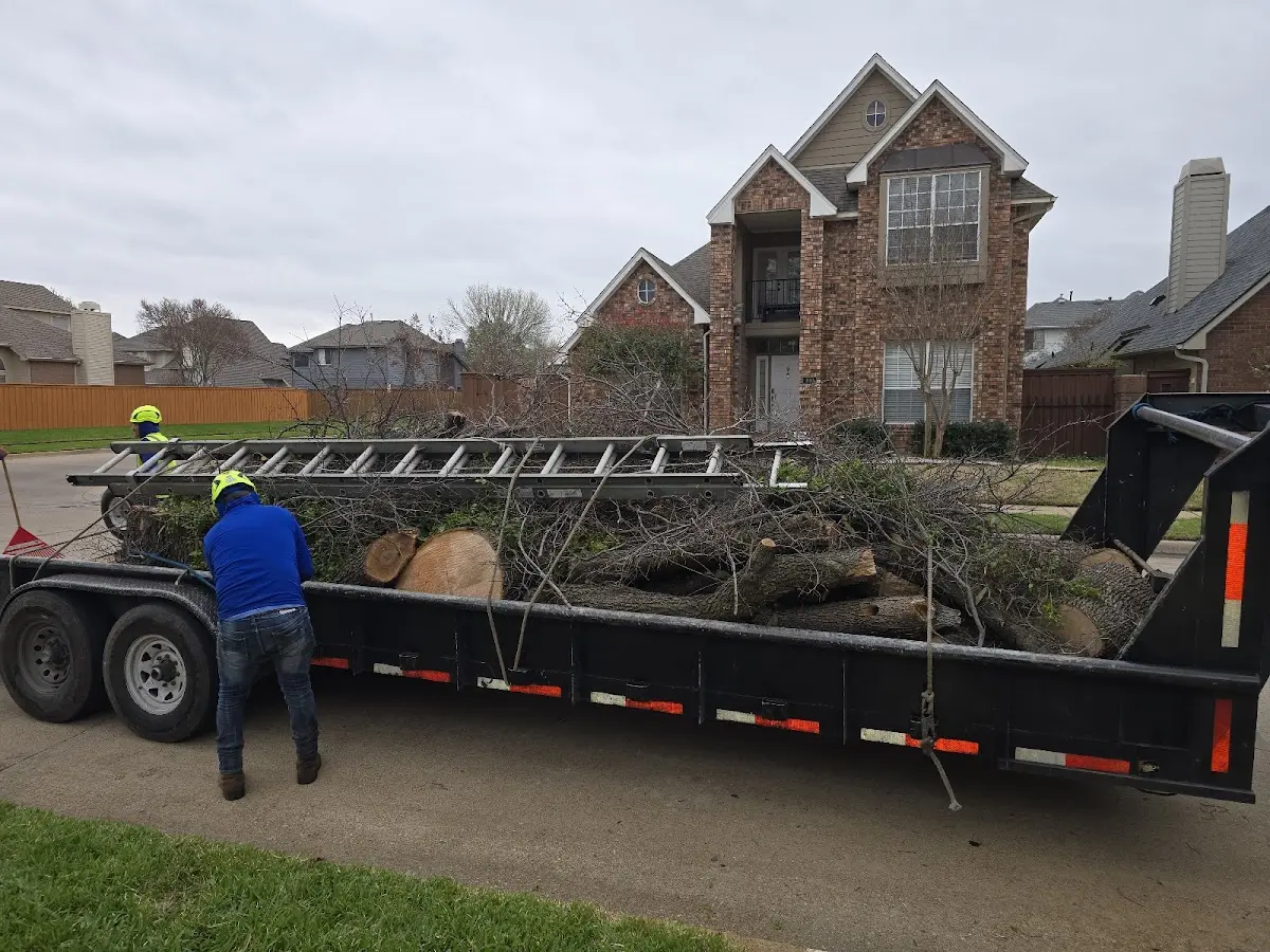 Expert Tree Fertilization with proper safety equipment in Franklinton